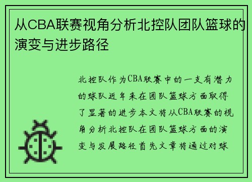 从CBA联赛视角分析北控队团队篮球的演变与进步路径